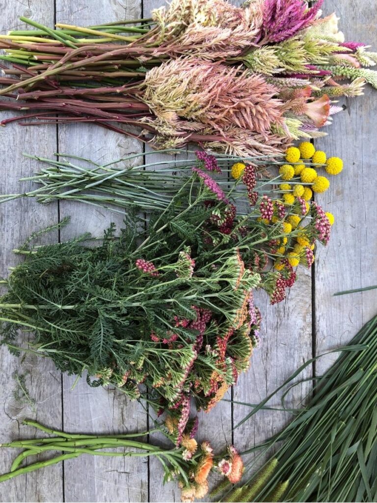 fresh picked flowers on a picnic table